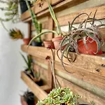Сasa de vacaciones Casa Nina