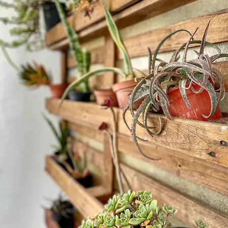 Σπίτι διακοπών Casa Nina